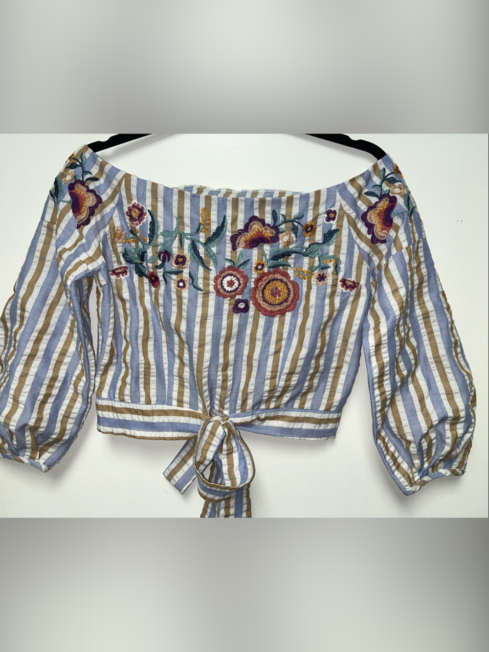 Lulumari Striped Tie-Front Embroidered Crop Top - Blue & Tan
